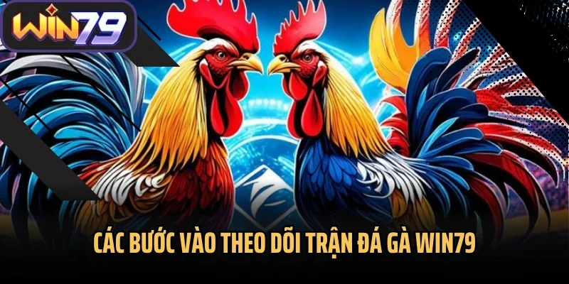 Các bước vào theo dõi trận đá gà Win79