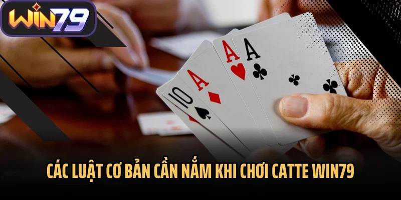 Các luật cơ bản cần nắm khi chơi catte Win79