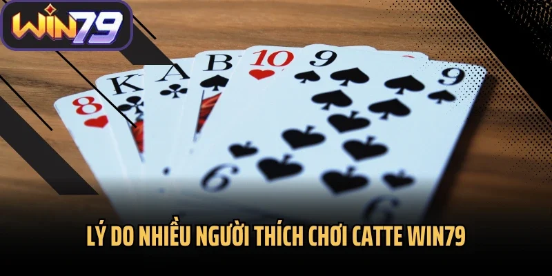 Lý do nhiều người thích chơi catte Win79