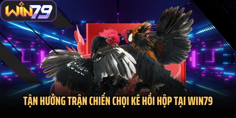 Tận hưởng trận chiến chọi kê hồi hộp tại Win79